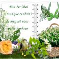 1er mai 017